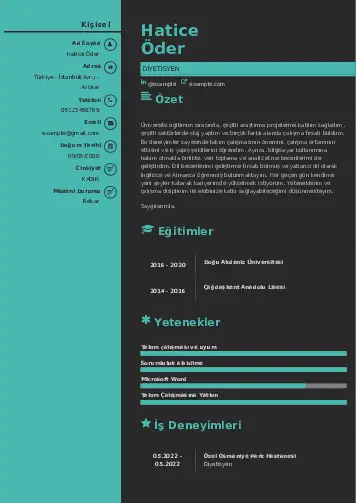 Beslenme Uzmanı Diyetisyen CV Örnekleri cv indir